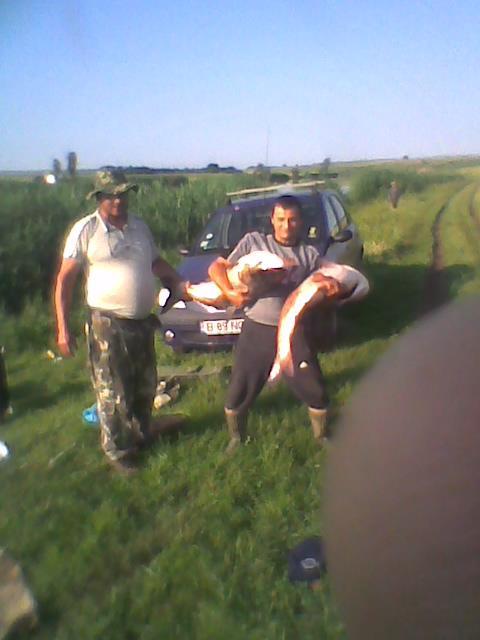 pescuit - 540628_388762914494119_731761703_n.jpg